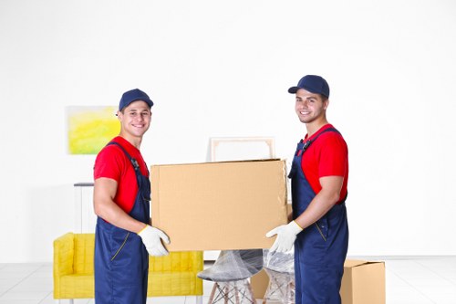 Removal van support for urgent same day moves in Pimlico