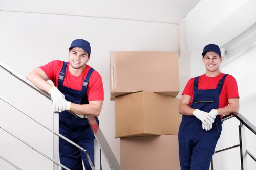Professional packing help for a flat near Pimlico