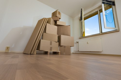Van transport for boxes and household items in Pimlico