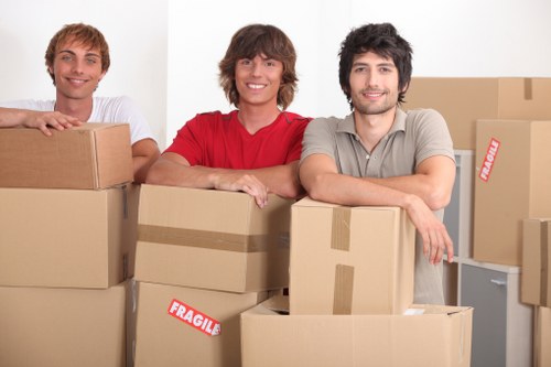 Mover handling fragile items with care during transit