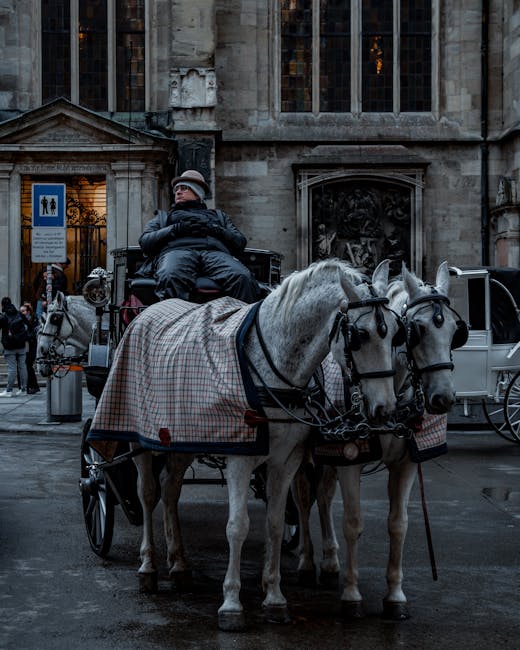 A horse-drawn carriage with two white horses, each wearing a plaid blanket secured with red straps, parked on a city street in front of a historic stone building with large stained glass windows and architectural details. The carriage is operated by a driver wearing a dark coat and flat cap, seated on a raised seat at the front. Behind the horses, a cart or luggage area is visible. The scene includes various urban elements such as a blue pedestrian sign, a lamp post, and people walking in the background. This image illustrates a traditional mode of transport often seen in historical or tourist areas, relevant to home relocation and moving logistics, with horses and carriage positioned close to the curb, suggesting a process of moving or transport in a city environment as part of a house removal or moving service, in line with the content at Belgrave Road to St George's Square.