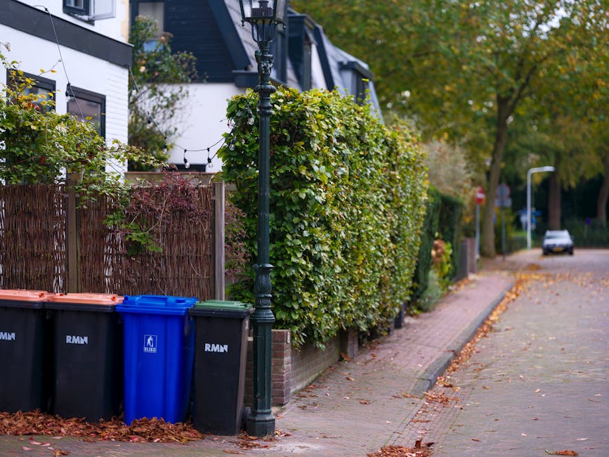 A row of three large wheelie bins placed on a paved sidewalk in front of a residential property, with two black bins, one blue bin, and one green bin, each labeled with recycling or waste management symbols. The bins are positioned near a black metal lamppost and are partially blocked by fallen autumn leaves scattered on the ground. Behind the bins, there is a tall, dense green hedge, alongside a wooden fence and the exterior of a modern white house with black-framed windows. The scene is outdoors on a quiet residential street with trees showing early signs of autumn foliage, and a car visible parked in the distance along the curb. The image depicts a typical setting for household waste disposal and is relevant to the logistics of house clearance and recycling during home relocation or removals, as managed by companies like Man with Van Pimlico.
